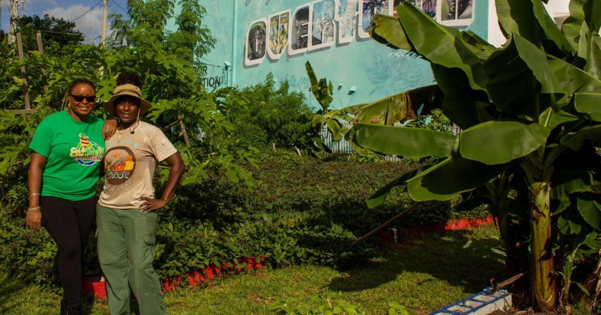 In Overtown, a garden program takes root to fight food insecurity | Lifestyles In Overtown, a garden program takes root to fight food insecurity | Lifestyles