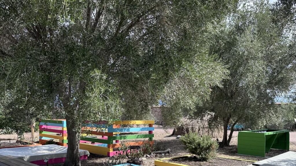 Mission Garden party to show off improvements to youth area