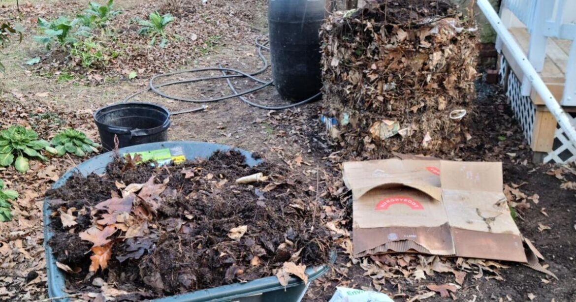 GARDEN GUIDE: Winterizing your compost: Essential tips for hot, cold and vermicomposting
 | Archives GARDEN GUIDE: Winterizing your compost: Essential tips for hot, cold and vermicomposting
 | Archives