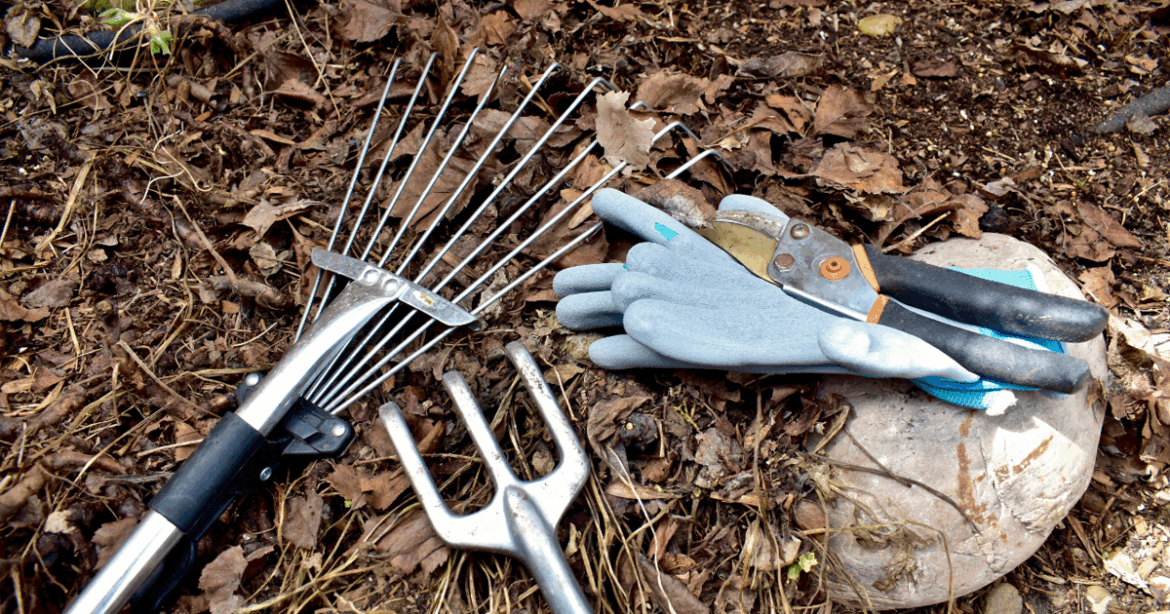 Lafayette Renew to host presentation on gardening this Friday | Local & State News Lafayette Renew to host presentation on gardening this Friday | Local & State News