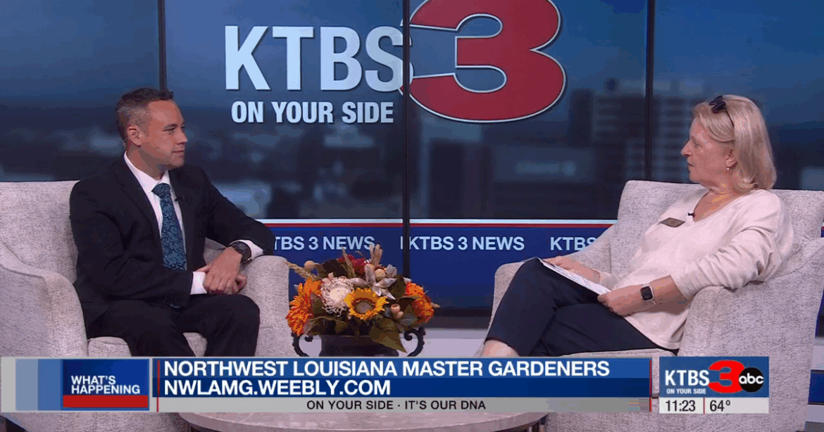 Northwest Louisiana Master Gardeners holding fall bulb sale Saturday | Community