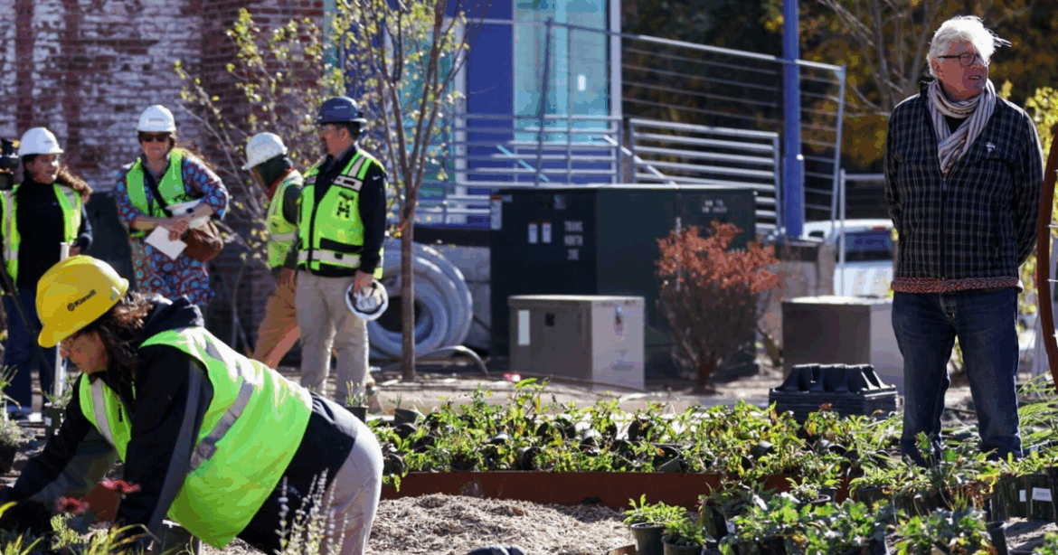 Garden in Omaha’s Old Market will include 23,000 perennials and 80 trees Garden in Omaha's Old Market will include 23,000 perennials and 80 trees