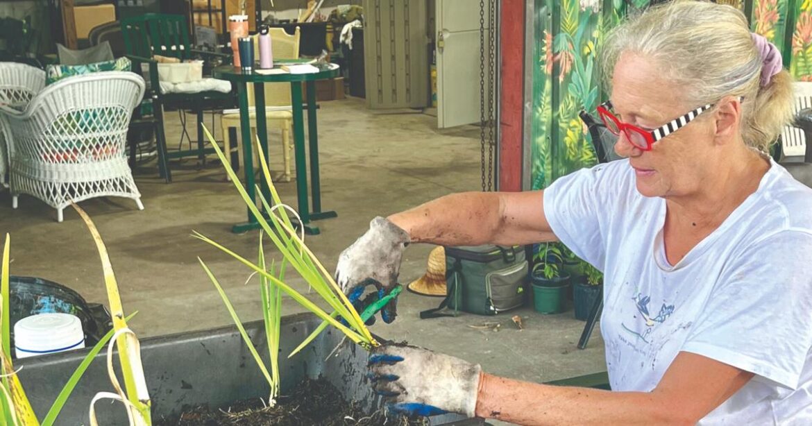 HOBBIES AND PASSIONS: Passionate about gardening — hobbyists inspire community | Senior-life HOBBIES AND PASSIONS: Passionate about gardening — hobbyists inspire community | Senior-life