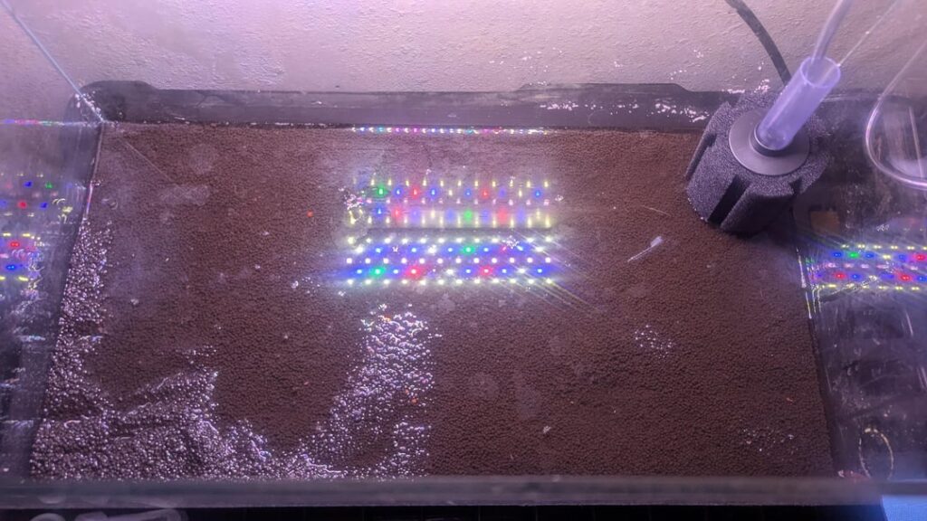 Not exactly what I wanted Not exactly what I wanted