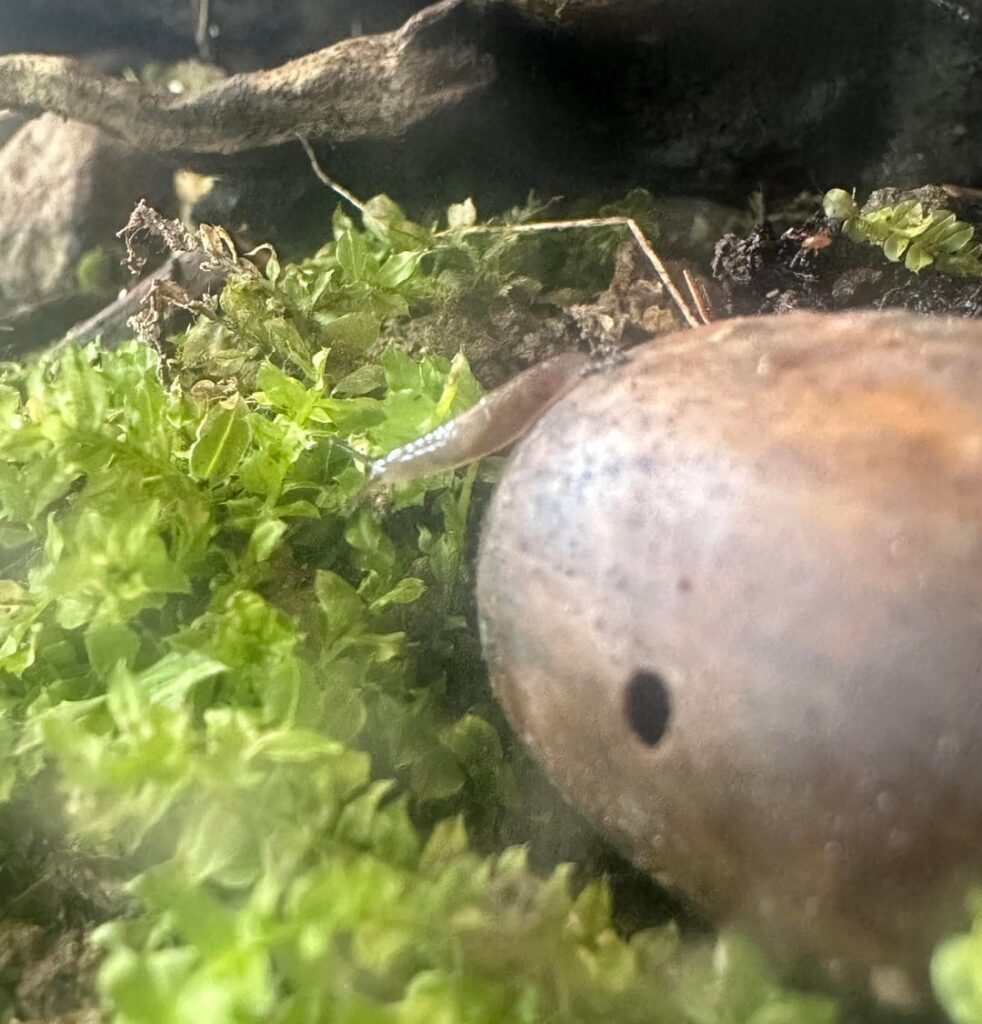 Advice on care Advice on care