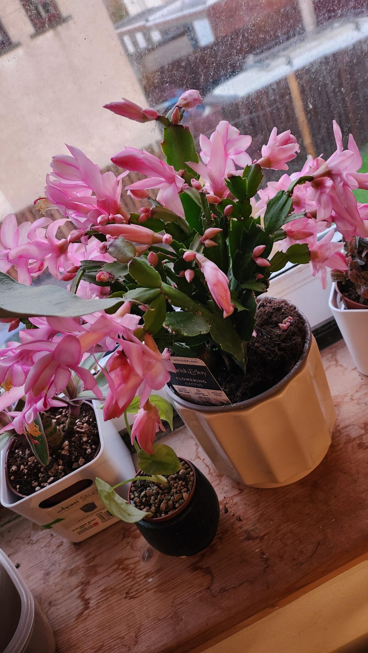 I just couldn't not 😣