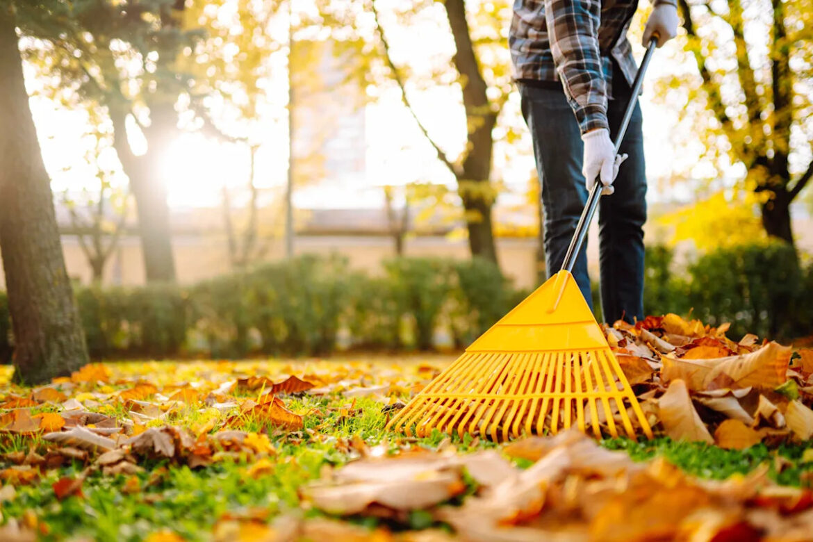 6 Things You Should Never Do To Your Lawn In Fall, According To Experts 6 Things You Should Never Do To Your Lawn In Fall, According To Experts