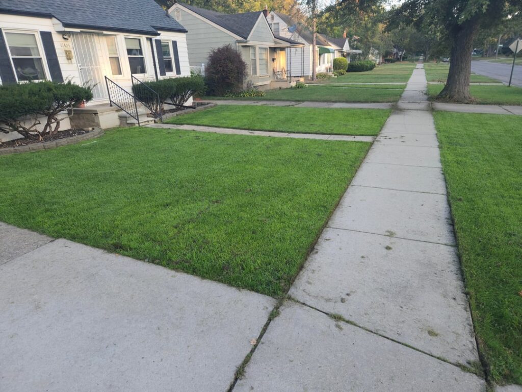 Odd upload yesterday. Here its actually edged. Ill mow it later to clean up. Thanks for the support