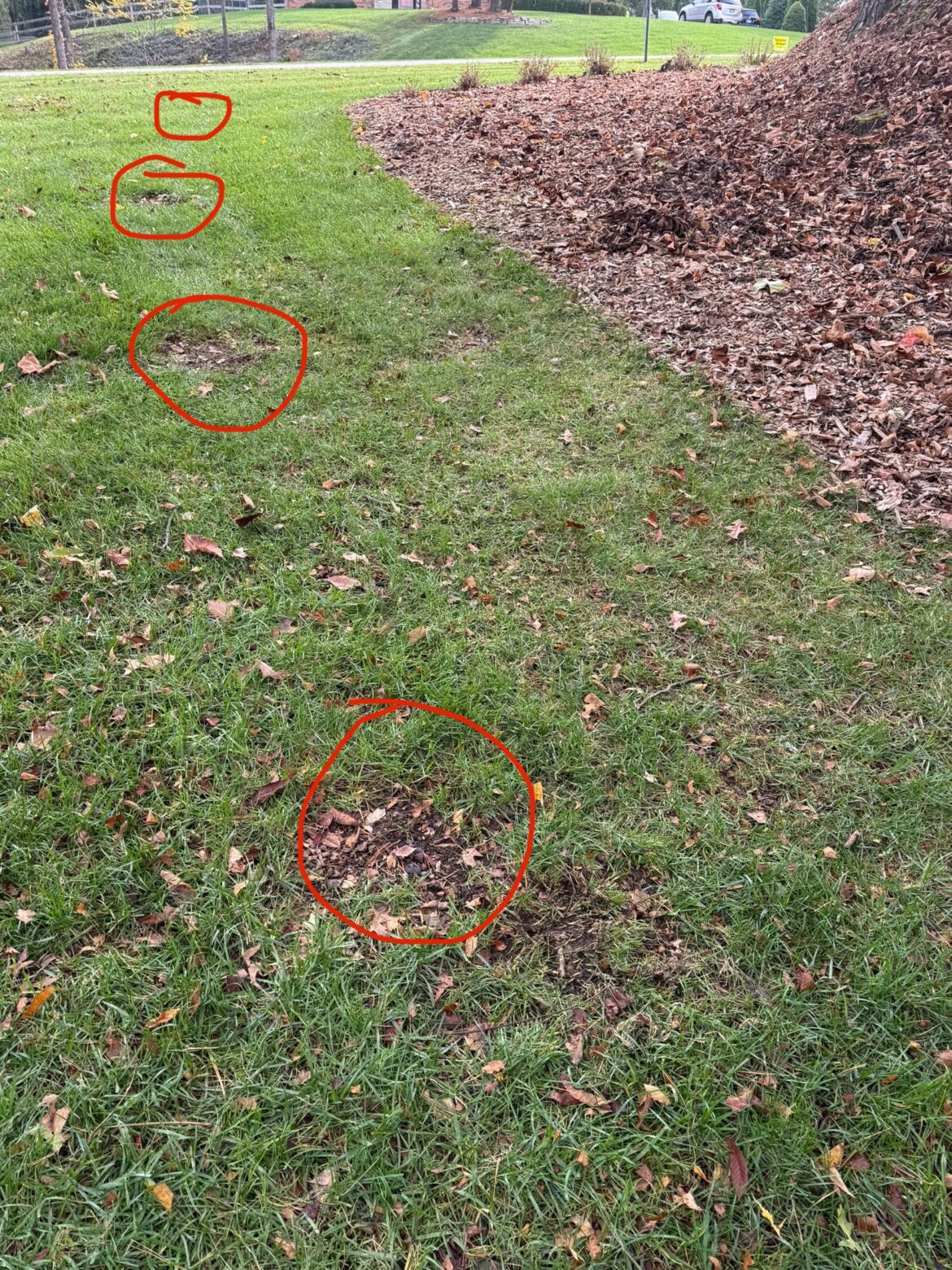 Zero turn bald  spots (Ohio)