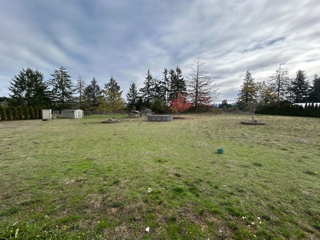 New Home Yard Ideas New Home Yard Ideas