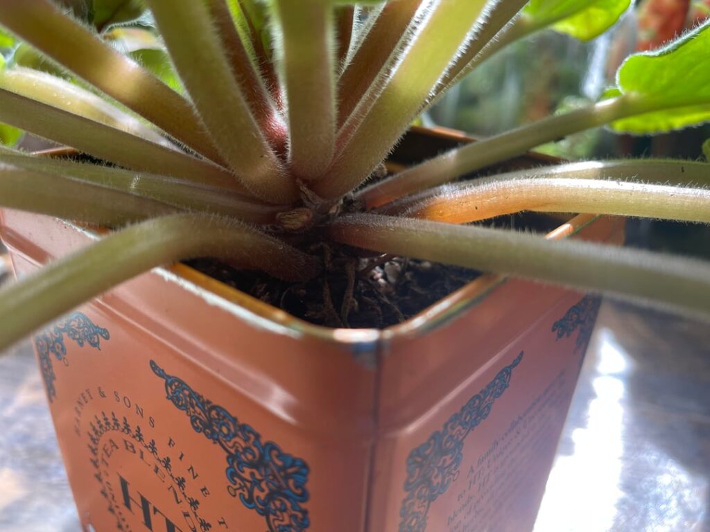 What happened to my AV