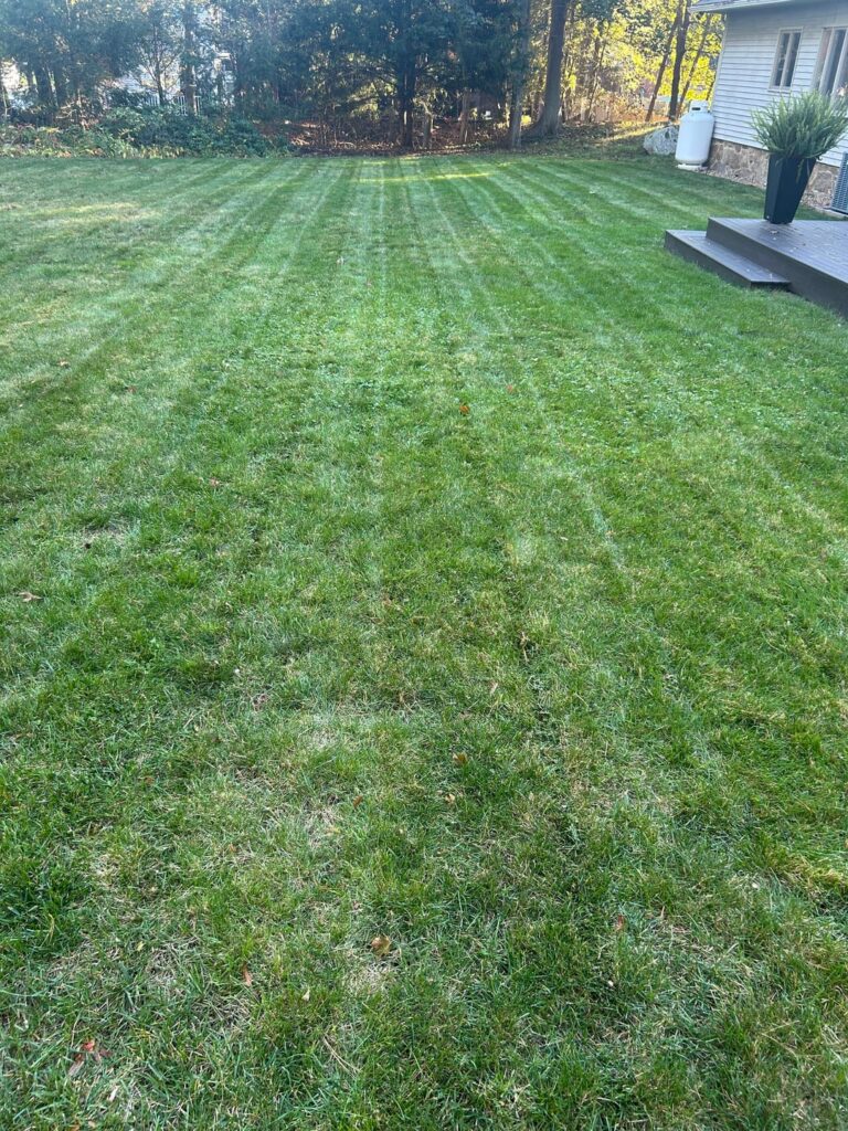 Is it too late to seed?