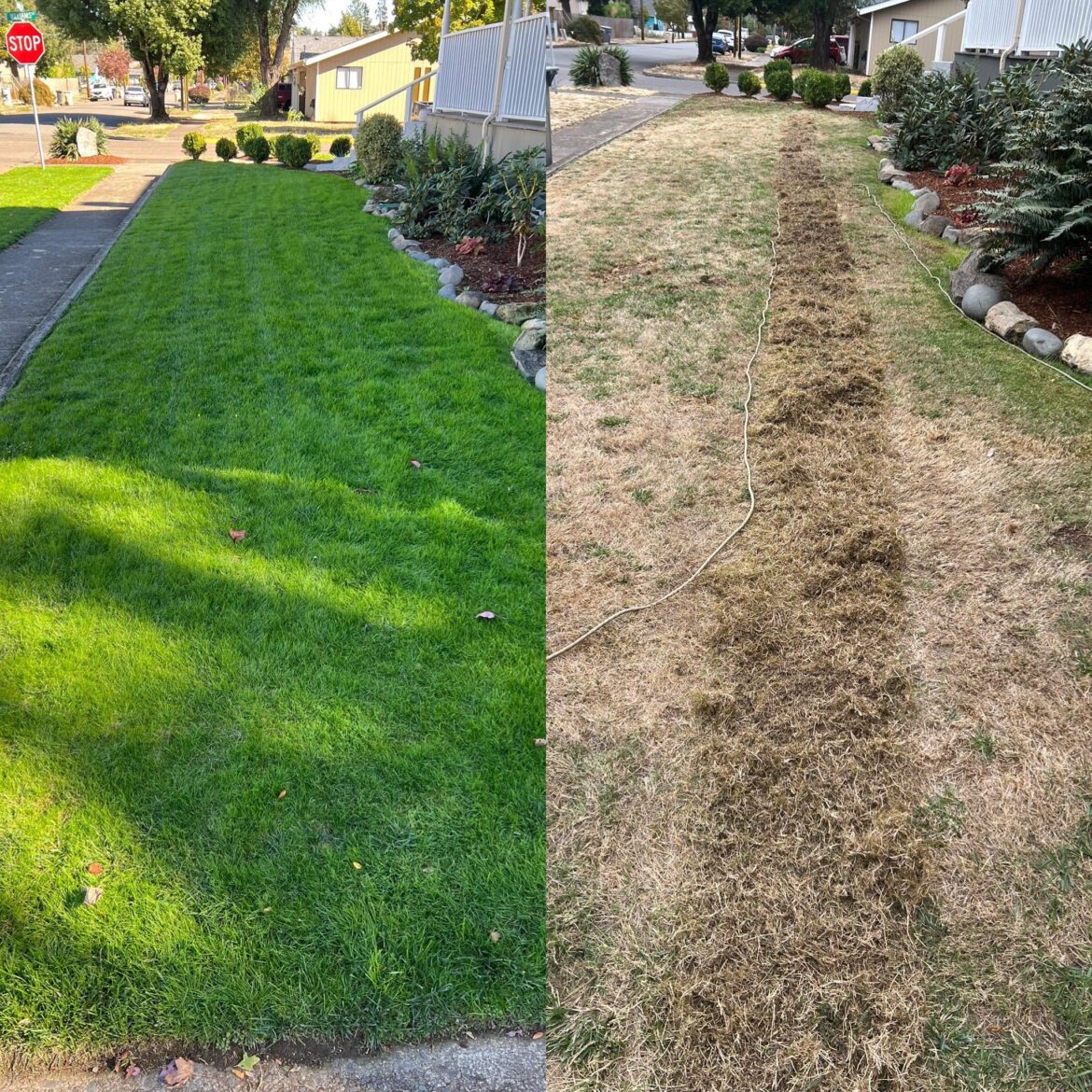 Zone 8B, 1 month apart.