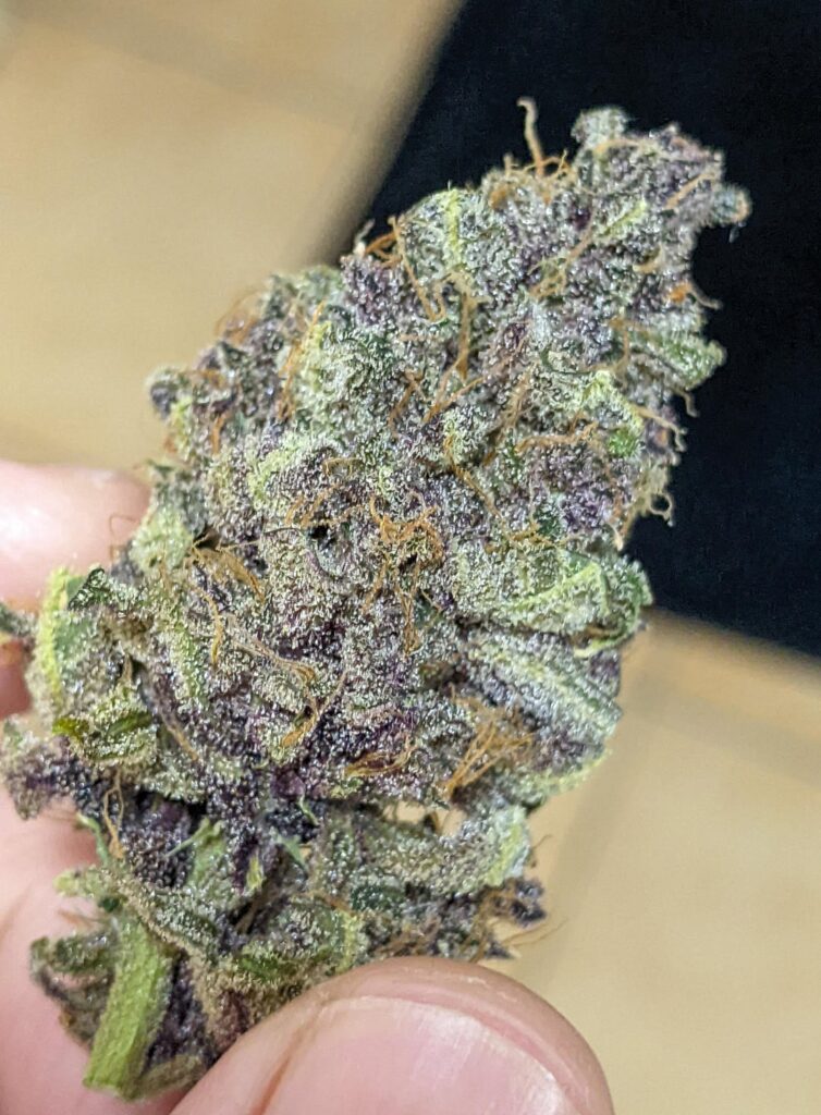 Zkittles Berry Blast 🍓🍬