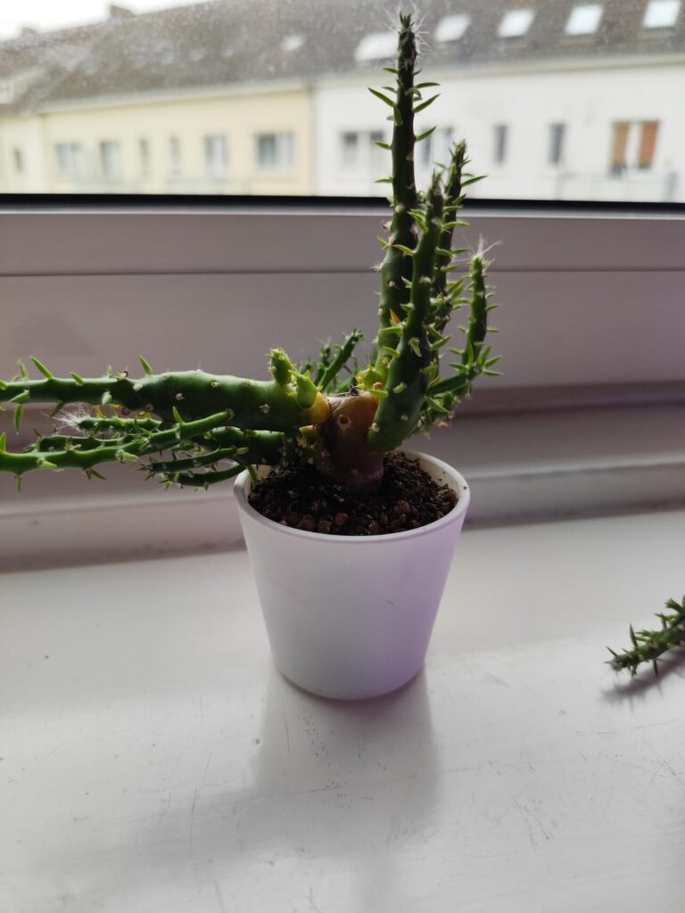 What did I do wrong? What did I do wrong?