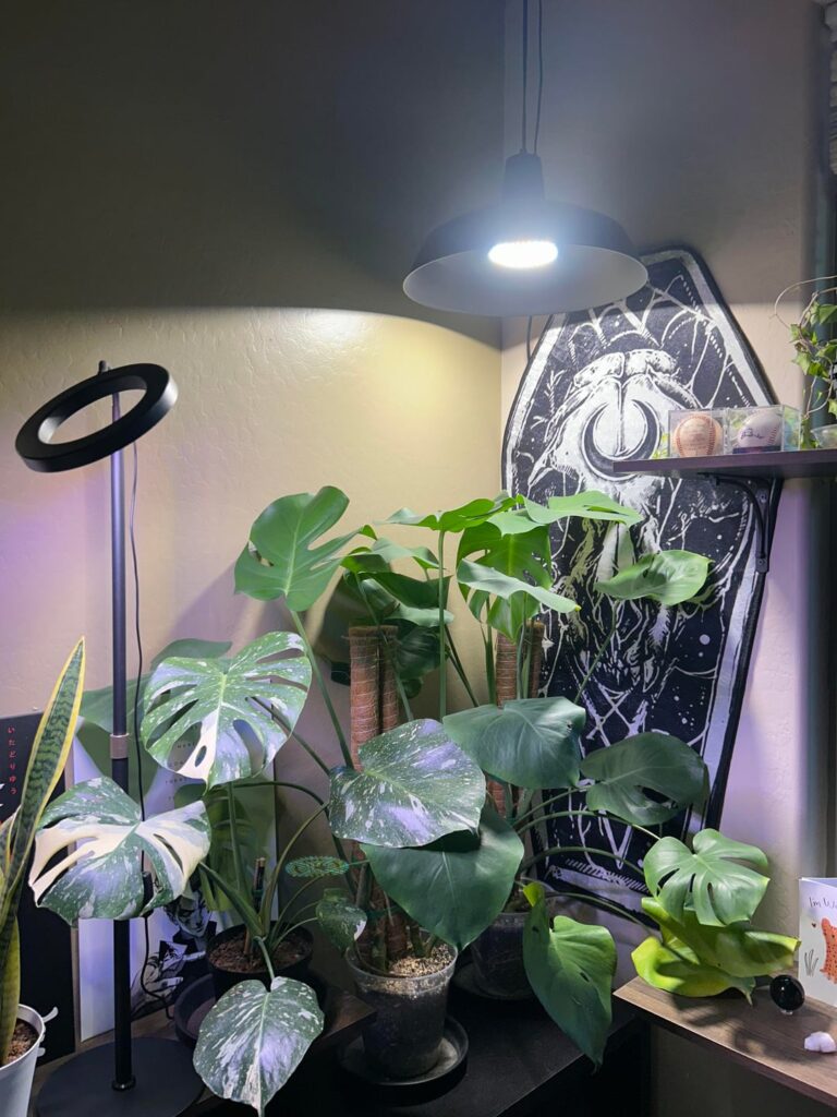 Am I missing something? Am I missing something?