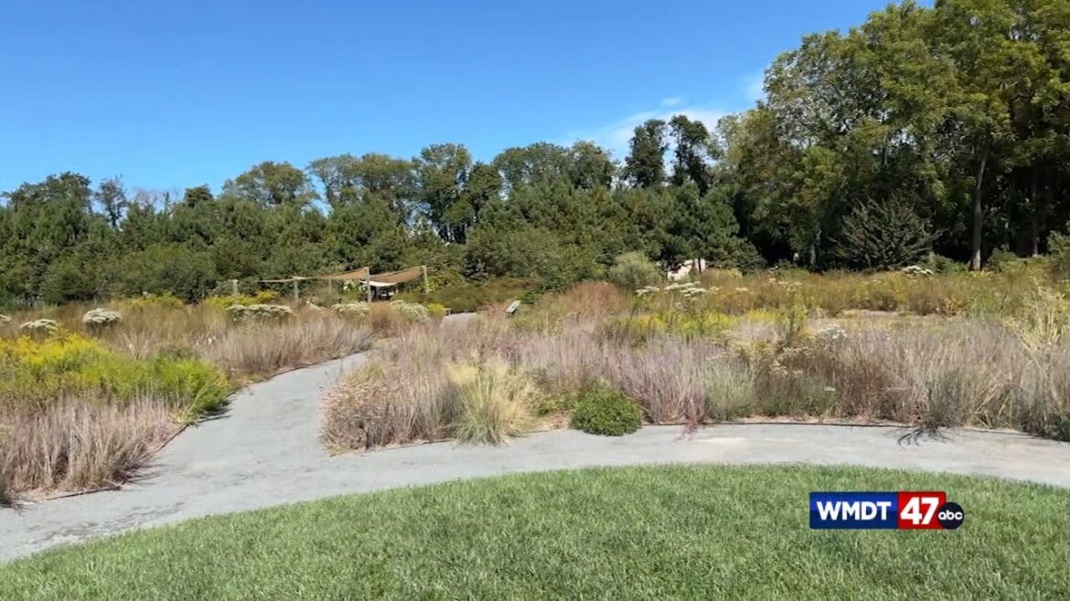 Live Green: Delaware Botanic Gardens Live Green: Delaware Botanic Gardens