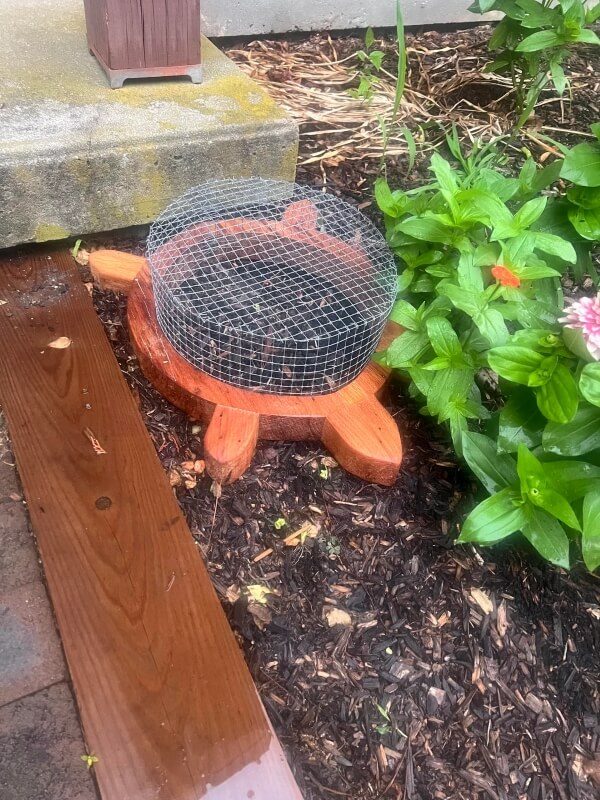 Having adorable wildlife visit your home and garden is always a delight that serves up the warm fuzzies.