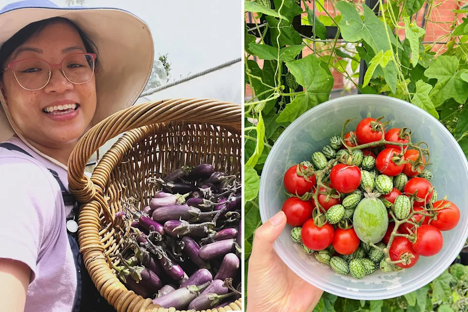 The Melbourne mum has harvested a range of vegetables from her backyard. 