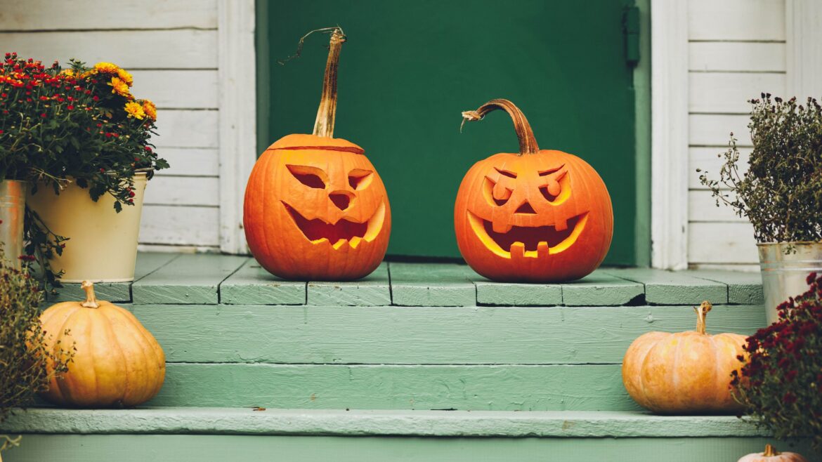 Here’s what not to do with your pumpkin after Halloween — according to a garden expert Here's what not to do with your pumpkin after Halloween — according to a garden expert