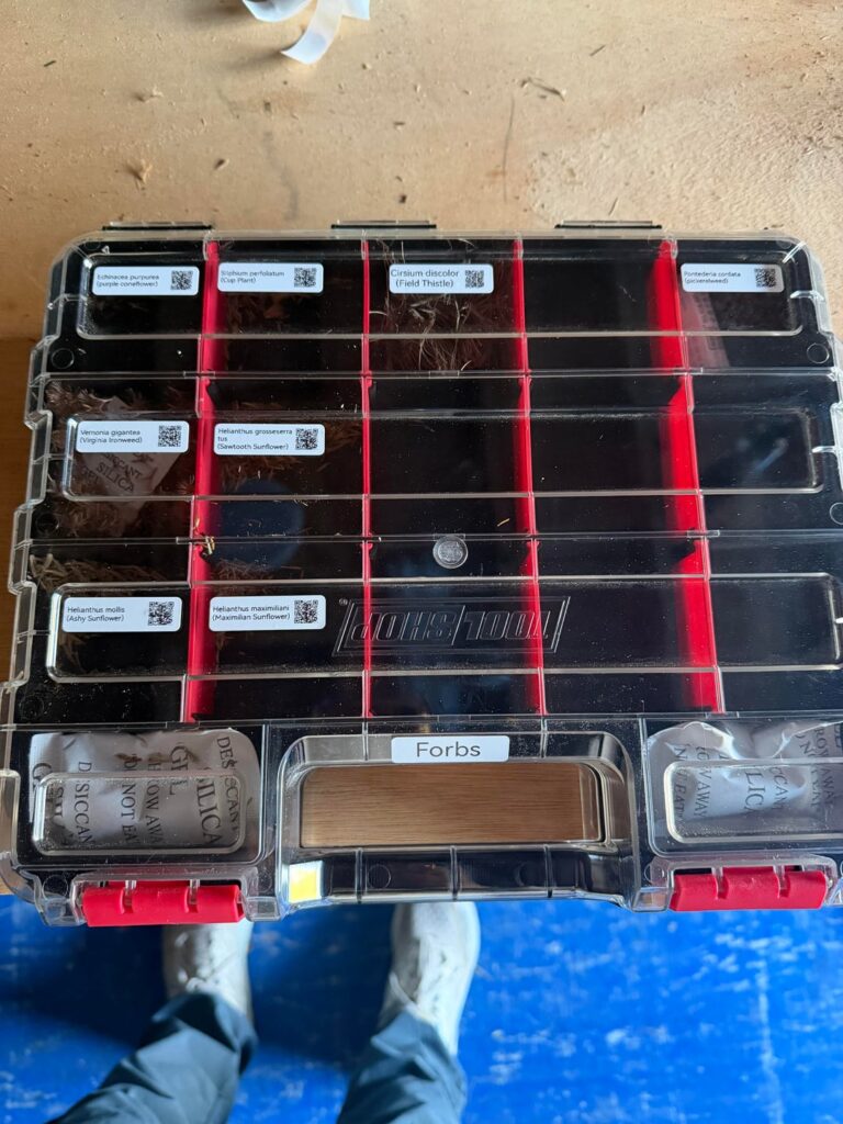 Rate my seed setup