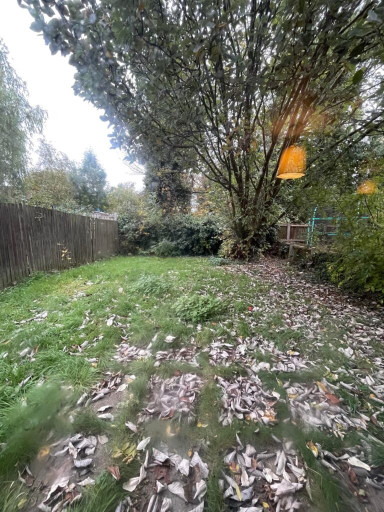 Realistically can I make this? Realistically can I make this?