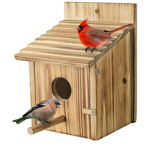 Amazon bird house