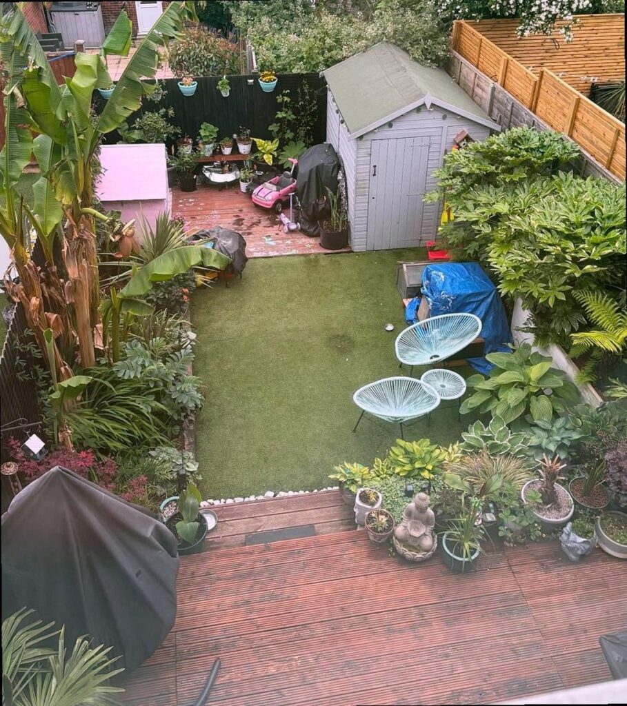 Here's my mini garden in my backyard