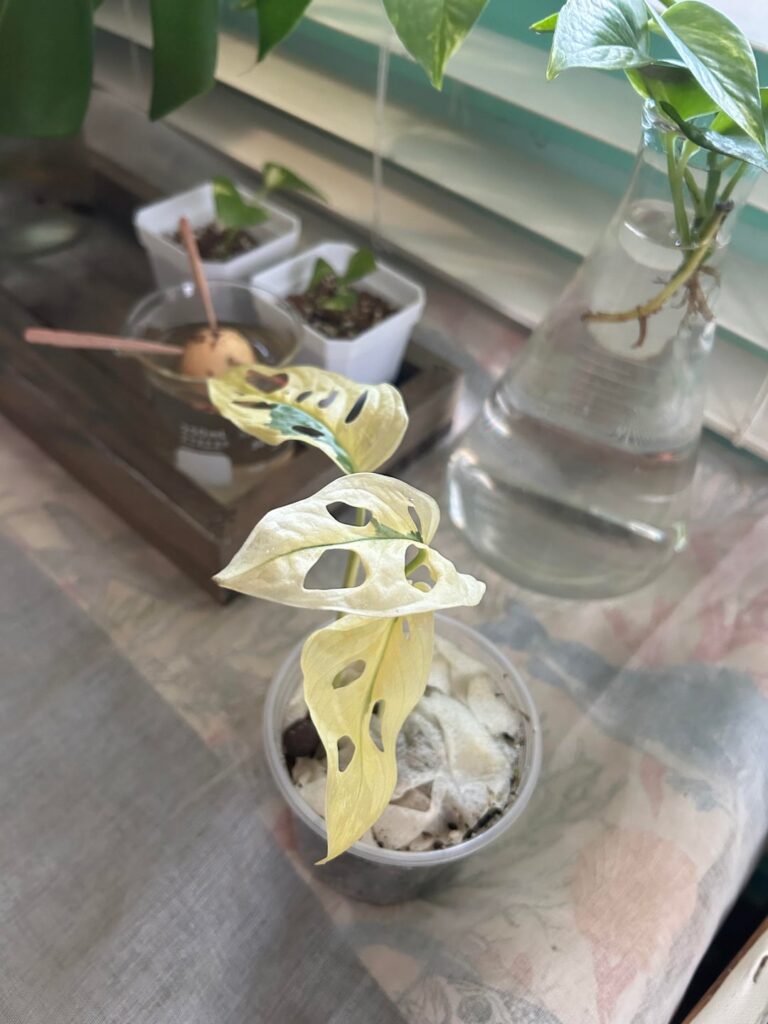 Would you guys consider this “rare”