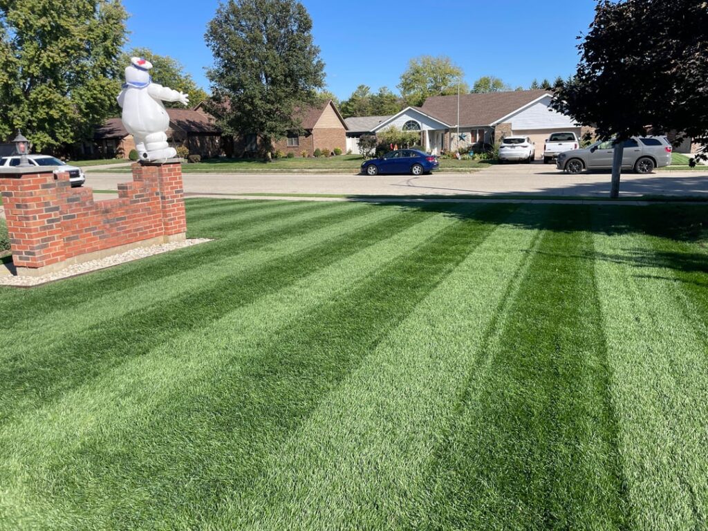 Scott’s ProVista KBG Scott’s ProVista KBG