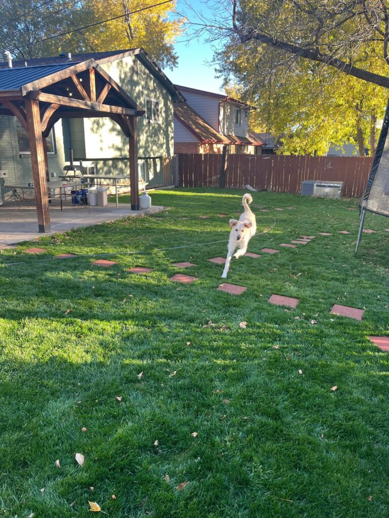 Before and after, Colorado Springs CO