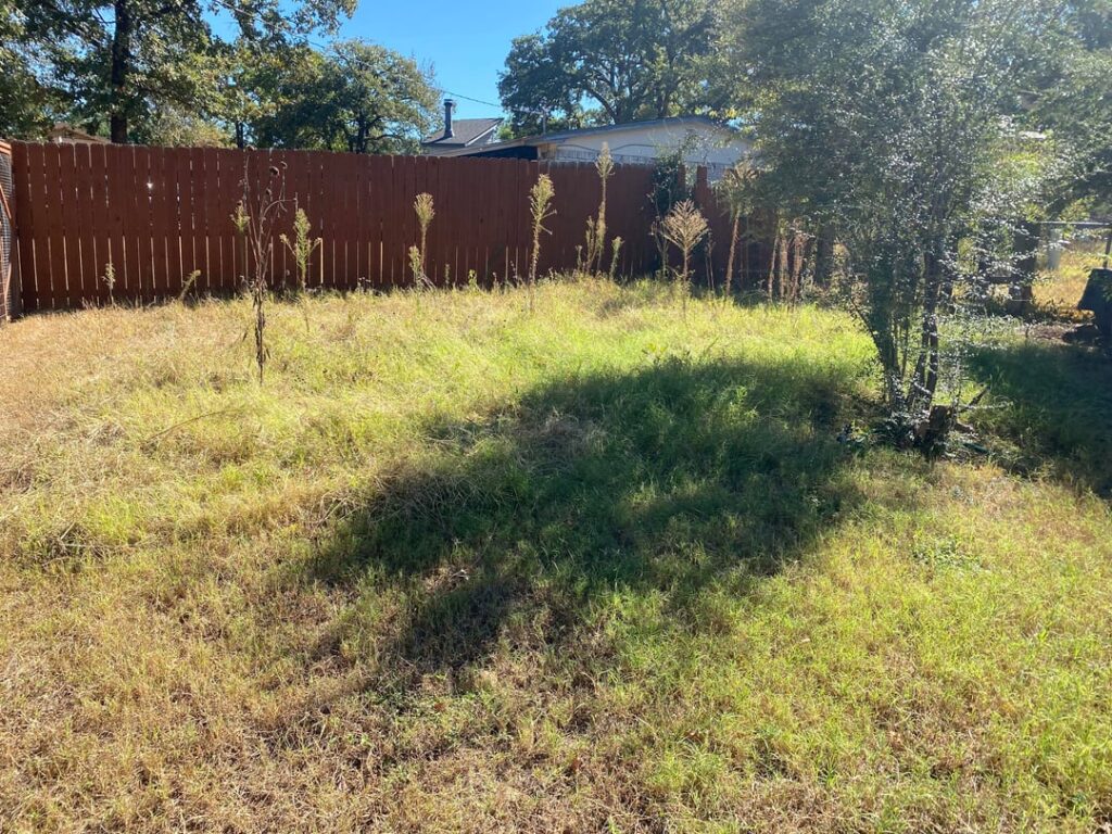 End of season mow vs weed-eat natural patch