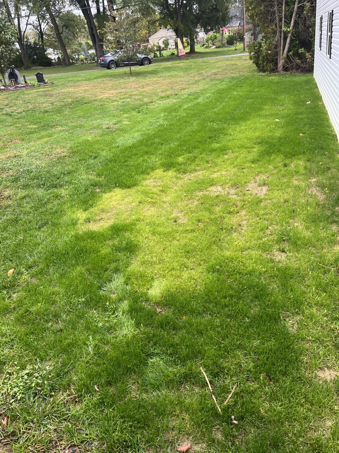 New grass issue, Central PA