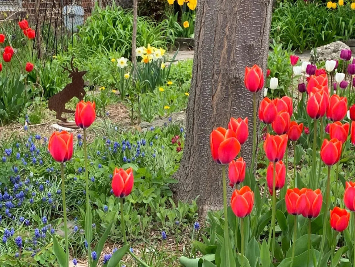 The City Gardener: A (light) bulb moment The City Gardener: A (light) bulb moment
