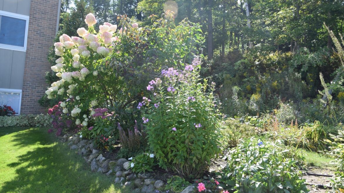 How best to approach cleaning up your garden in the fall How best to approach cleaning up your garden in the fall