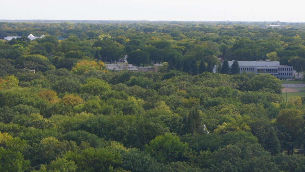 In it for the long haul