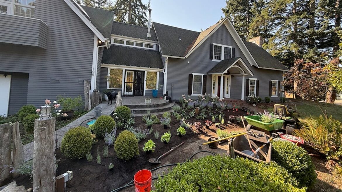 How ChatGPT designed my cottage garden without hiring a landscaper