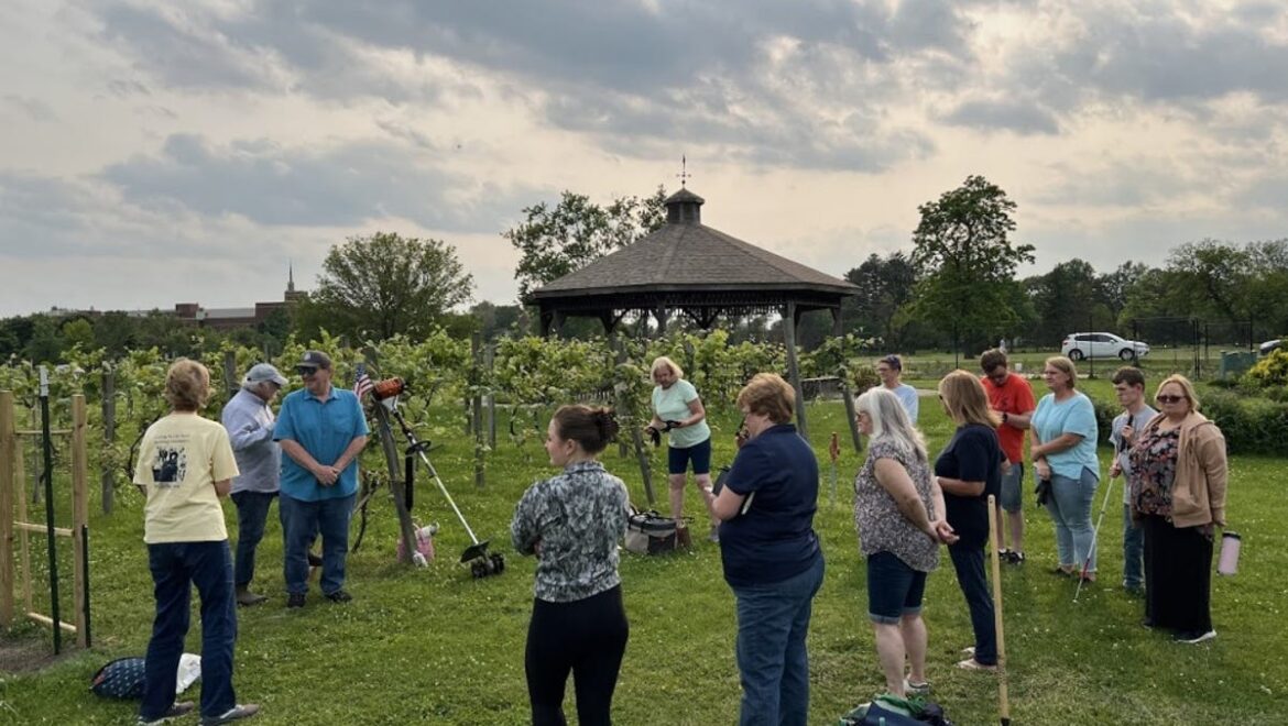 New Monroe club plants pumpkins for a cause