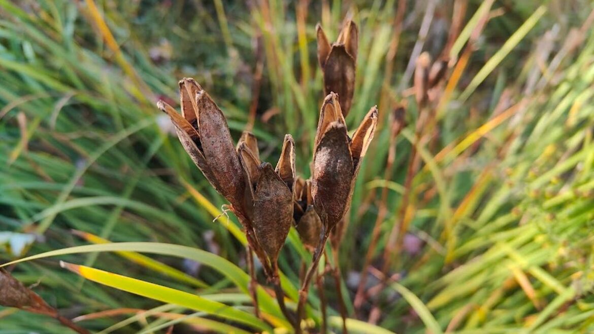 Should they go or should they stay? Should they go or should they stay?