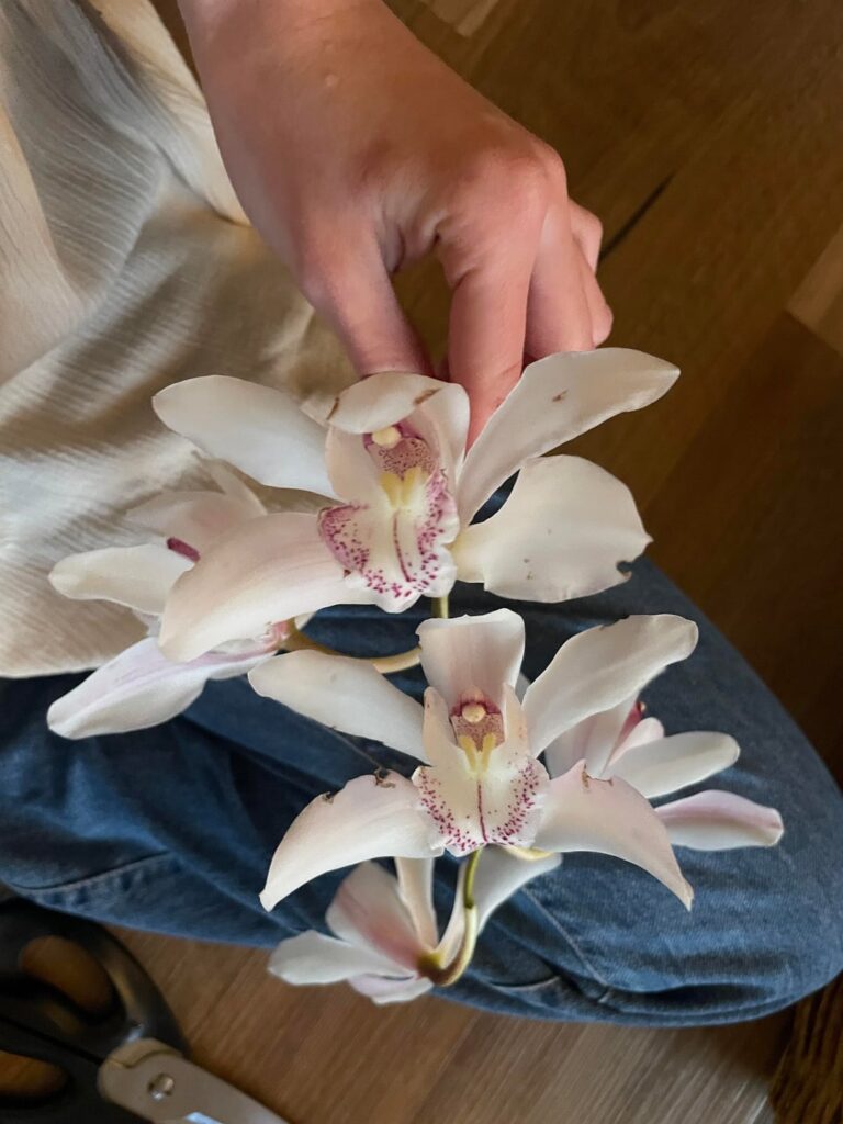 ID/Info please! (See description)
