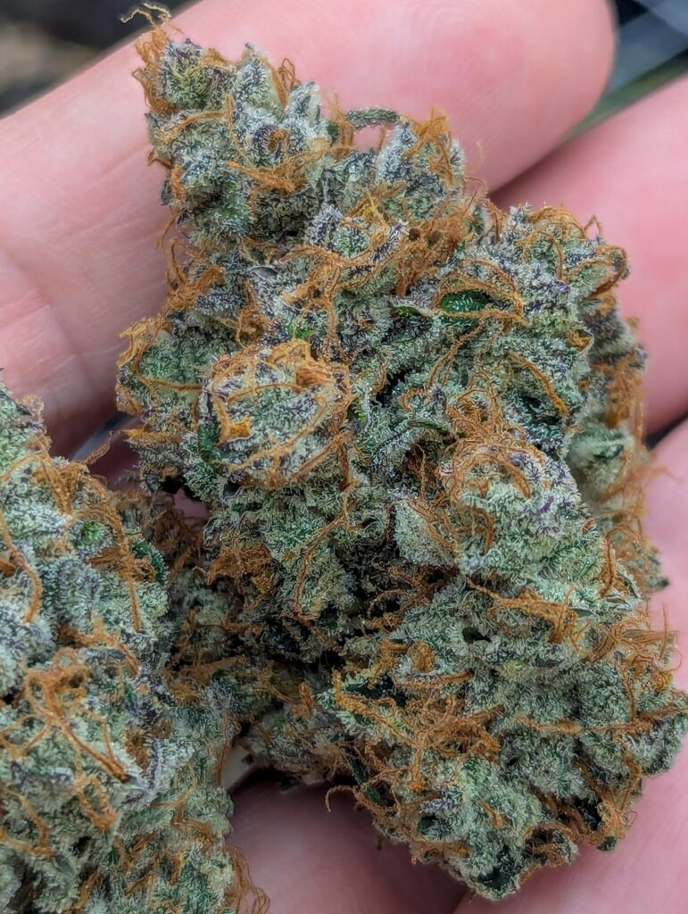 Curing up nicely ππ₯ Curing up nicely ππ₯