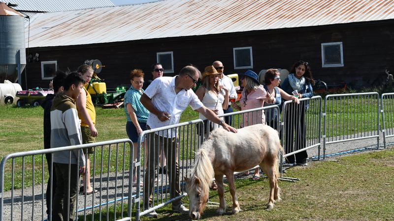 Chilliwack families invited to attend free container gardening event to learn to grow food | Fraser Valley Today Chilliwack families invited to attend free container gardening event to learn to grow food | Fraser Valley Today