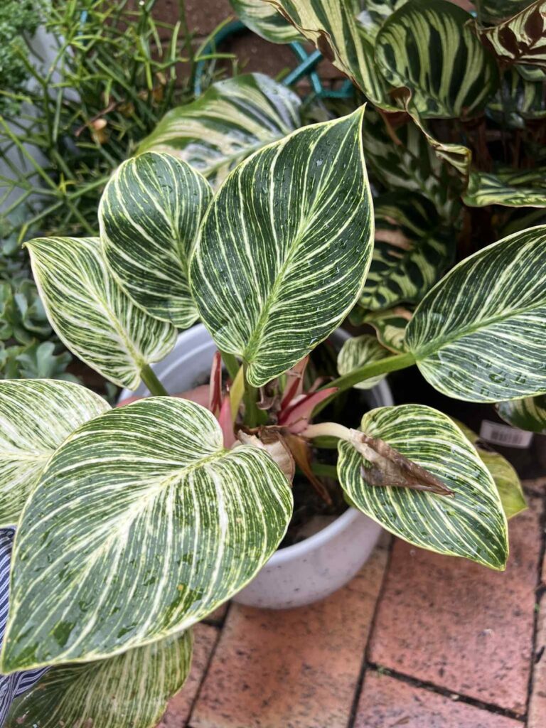 Need help with propagation Need help with propagation