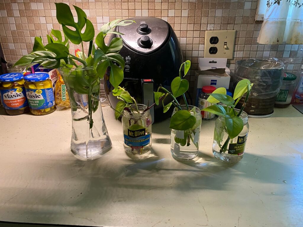 Chop and prop day!