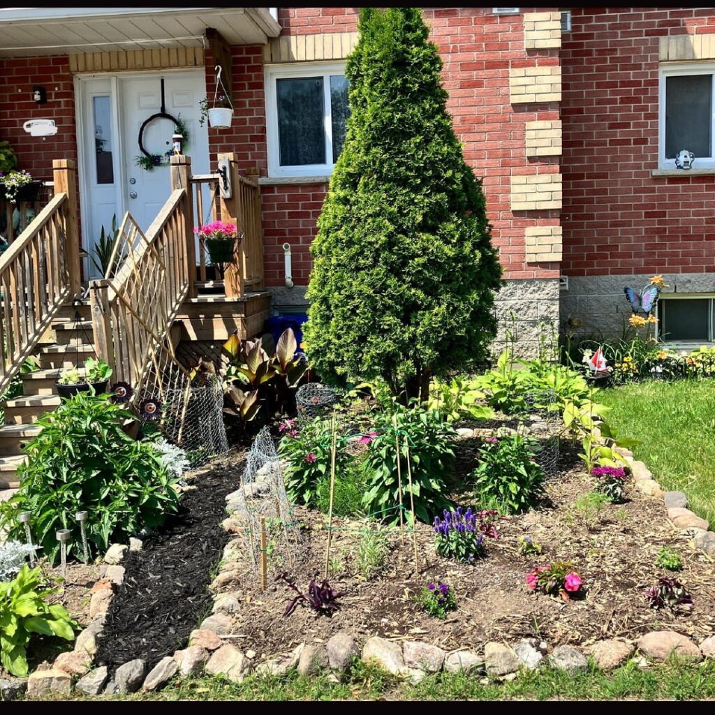 This year I expanded my garden to the max. This year I expanded my garden to the max.