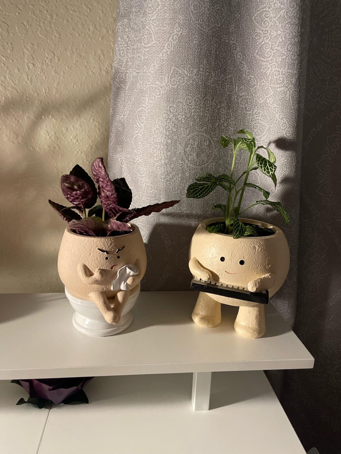 Any name suggestions for my plants? Any name suggestions for my plants?