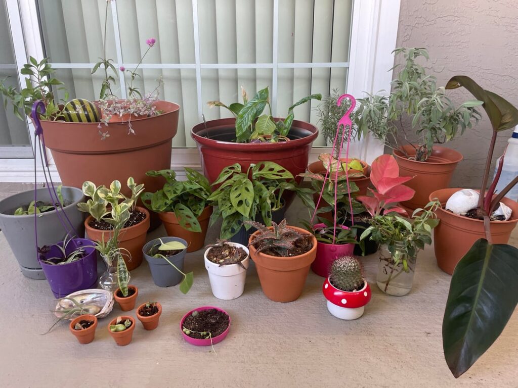 Family photo