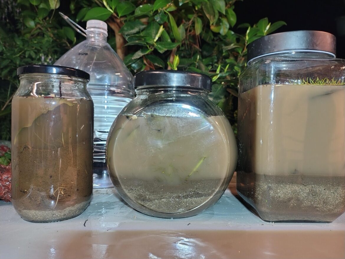 My very first Ecospheres