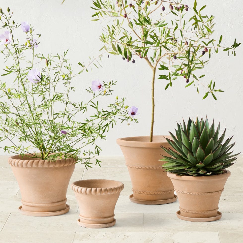 Terracotta Rope Planter