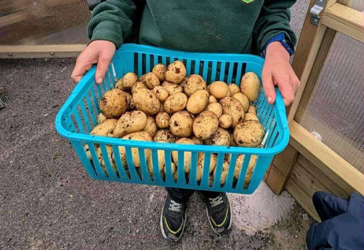 Rhynie School parents argue kitchen closure would hamper pupils’ gardening project Rhynie School parents argue kitchen closure would hamper pupils’ gardening project